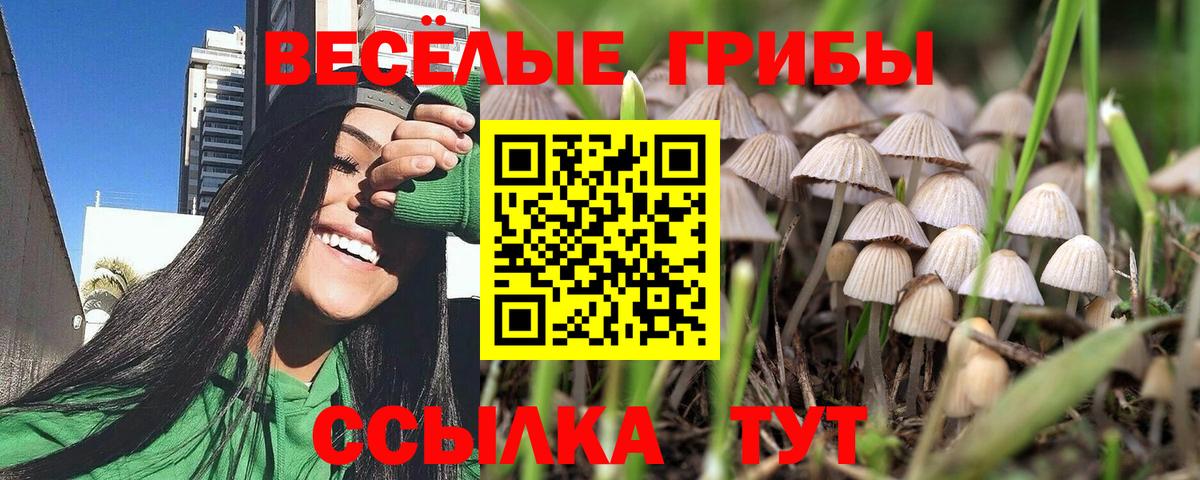 Галлюциногенные грибы Magic Shrooms Симферополь