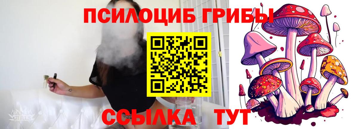 Симферополь  Псилоцибиновые грибы Cubensis  Вход с VPN 